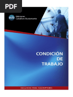 Condición de Trabajo PDF