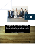 programación entrenamiento consultores