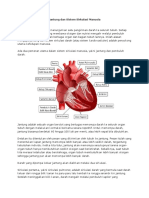 Jantung Dan Sistem Sirkulasi Manusia