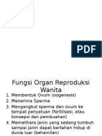 Fungsi Organ Repro Manusia