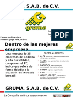 Analisi Financiero de Gruma