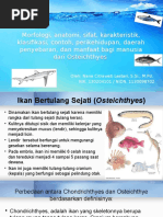 Download Zoologi Vertebrata Bab 7 Morfologi Anatomi Sifat Karakteristik Osteichthyes  by Nana Citra SN312319087 doc pdf