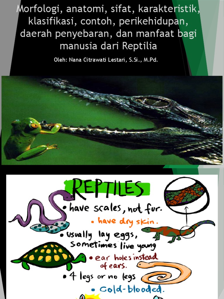 Buku Zoologi Vertebrata Pdf Masnurul