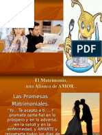 Las 7 Termitas Del Matrimonio MMM