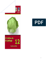 lechuga.pdf