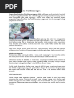 Download Umpan Ikan Patin Dan Trik Memancingnya by Steven Oei SN312331303 doc pdf