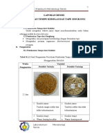 Download laporan praktikum mikrobiologi tempe dan tape by Muhamad Rifqi Aqil SN312346520 doc pdf