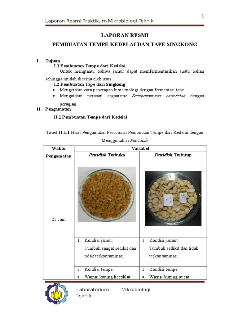 Laporan Praktikum Mikrobiologi Tempe Dan Tape PDF