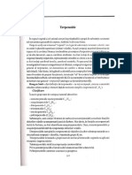 09 Terpenoide PDF