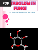 6.metabolism in Fungi