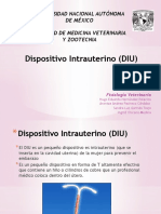 DIU: Dispositivo Intrauterino, funcionamiento, tipos, ventajas y desventajas