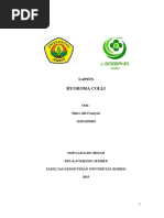 Download Higroma Coli Hilwa 112011101063 by Justin Larson SN312361918 doc pdf