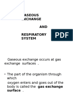 Gaseous Exchange AND Respiratory System