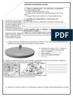 1 Avaliação de Ciências-1º Trimestre