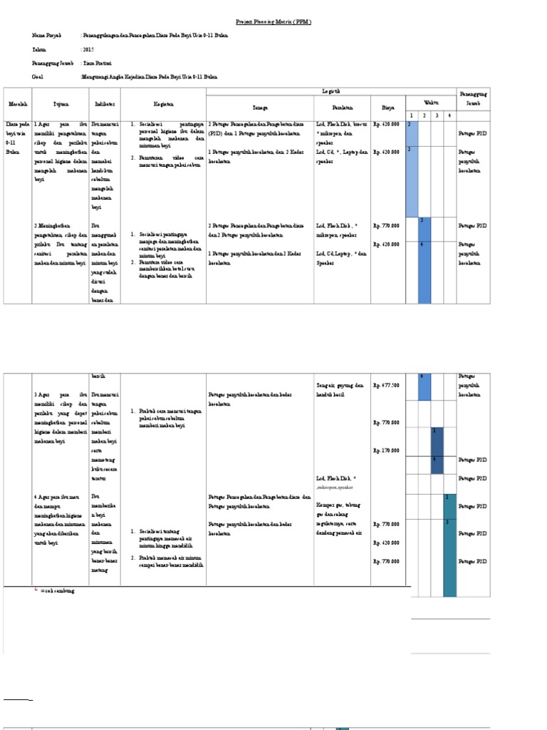 Matriks Perencanaan Proyek Diare Bayi | PDF | Kesehatan Holistik
