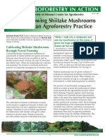 Growing Shiitake Mushrooms in An Agroforestry Practice