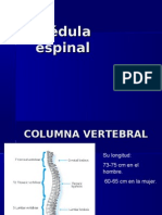 medula espinal 