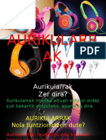 AURIKULARRAK Oier