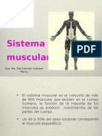 1. Sistema Muscular