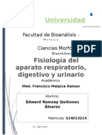 Fisiología Del Aparato Respiratorio