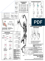 ortho-essentials1(2).pdf