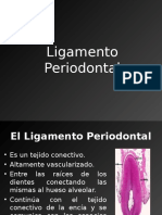 Clase 3 Ligamento Periodontal