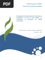 Nicaragua Determinantes