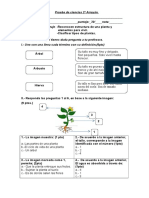 1ºprueba de Ciencias 2º Arrayán