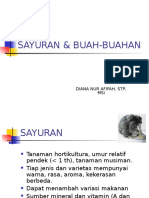 Sayuran & Buah-Buahan