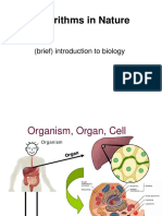 Algorithms in Nature: (Brief) Introduction To Biology