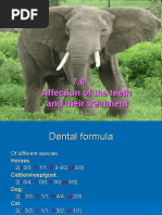D'Mello-Food Safety Contaminants and Toxins 2003 | PDF | Coeliac