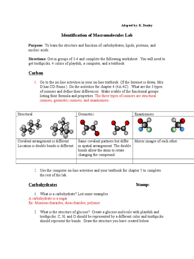 Macromolecules Lab: Structure & Function | PDF | Rna | Carbohydrates