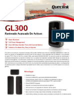 GL300 Es 20130607
