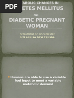 Download METABOLIC CHANGES IN DIABETES MELLITUSpptx by Selvi Putri Oktari SN312425020 doc pdf