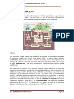 Ciclos Biogeoquiicos Iii PDF