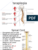 Paraplegia