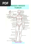 02 Sirosis Hepatis Dan Komplikasi Ppt Cirrhosis Digestive System