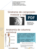 Síndrome de Compresión Medular y Radicular