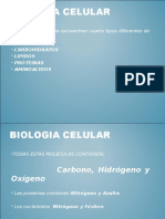 _Biomoléculas.ppt_