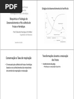 Bioquímica e Fisiologia Do Desenvolvimento e Pós-Colheita de Frutas e Hortaliças PDF