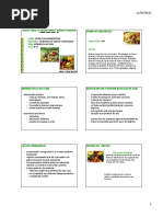 Frutas e Hortaliças [Aula Nº 01]