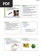 Frutas e Hortaliças [Aula Nº 03]