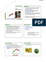 Frutas e Hortaliças (Aula #03)