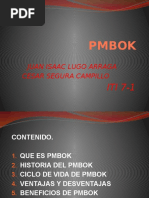pmbok