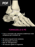 Tornozelo e Pé
