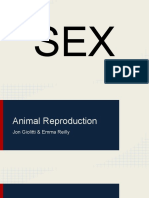 Animal Reproduction Bio