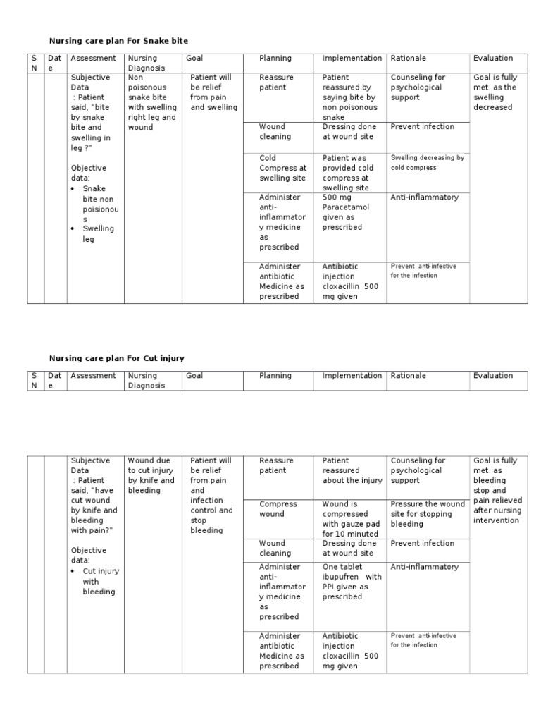 Nursing Care Plan for Snake Bite