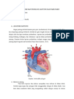 Anatomi jantung dan paru