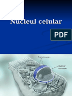 Nucleul Celular 