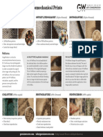 Process ID Chart: Photomechanical Prints: Patterns